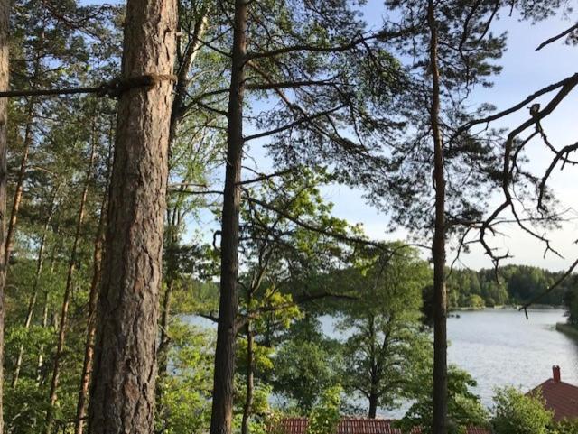 Forest Glamping Värmdö Esterno foto
